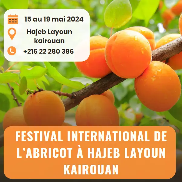 Festival International de l’Abricot à Hajeb Layoun kairouan
