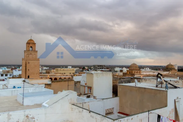 Conseils essentiels pour acheter une propriété à Kairouan