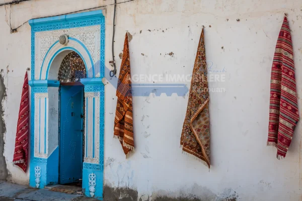 Guide d'achat et de vente de biens immobiliers à Kairouan