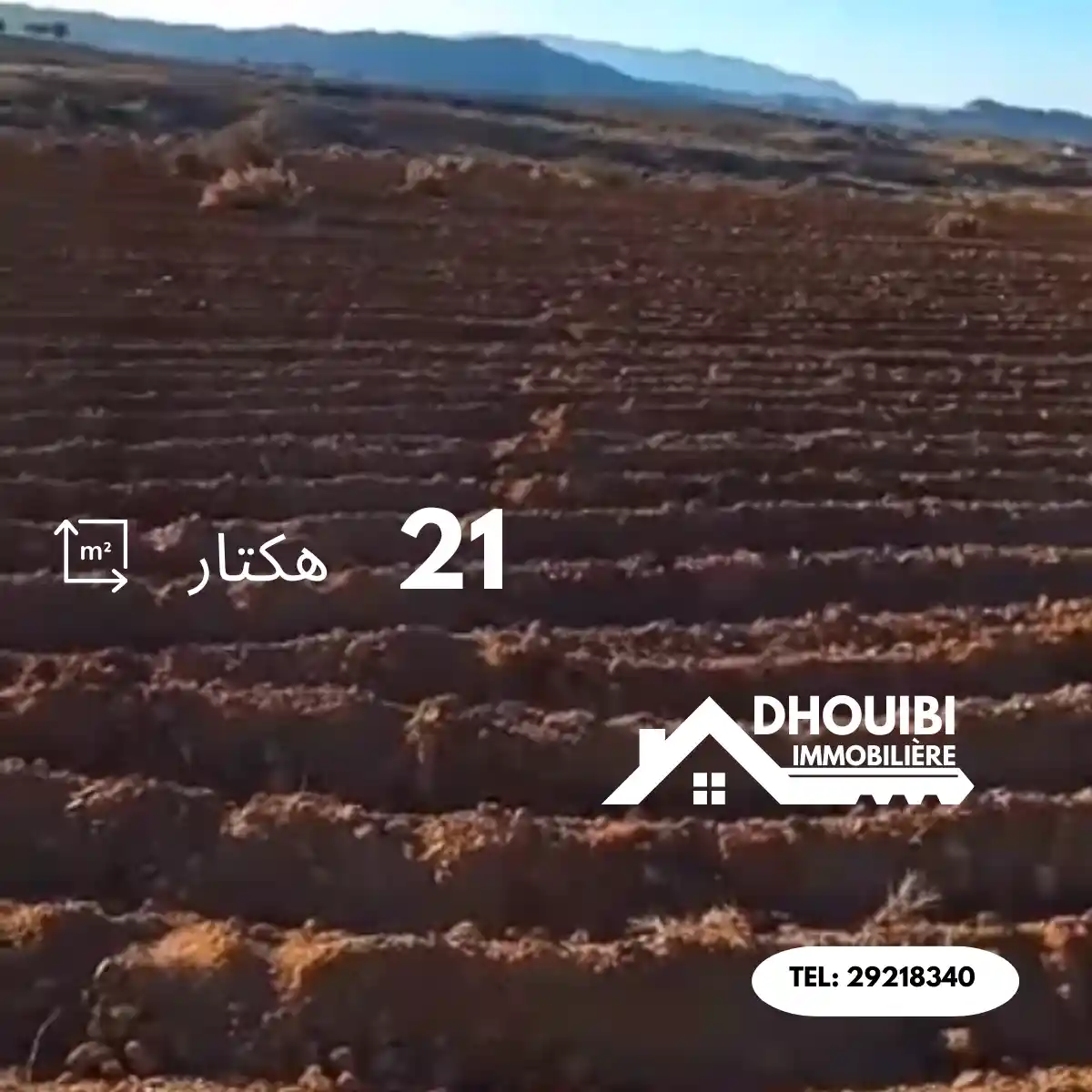 21 Hectares de Terrain Agricole à Vendre à Kairouan